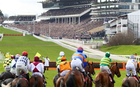 cheltenham going report|latest going reports horse racing.